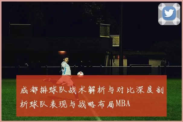 成都排球队战术解析与对比深度剖析球队表现与战略布局MBA