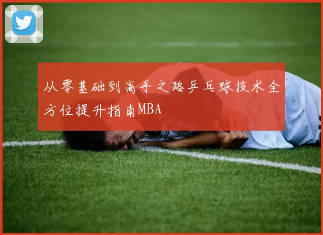 从零基础到高手之路乒乓球技术全方位提升指南MBA