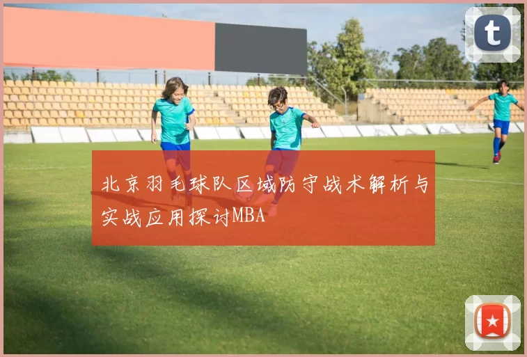 北京羽毛球队区域防守战术解析与实战应用探讨MBA