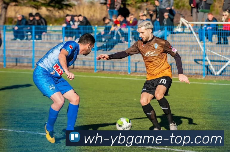 yb优博体育发展历程