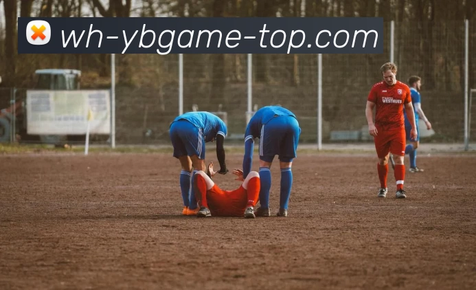 多媒体互动体验