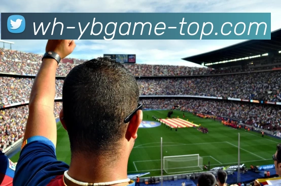 yb优博体育APP 体育赛事宣传图